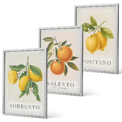 Set di 3 quadri limoni e arance di Amalfi
