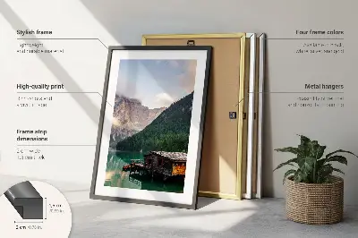 Set di quadri incorniciati con le eleganti figure vegetali di Matisse