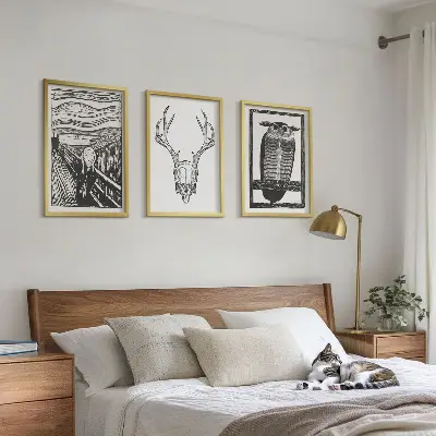 Set di quadri incorniciati con grafica raffigurante teschio urlante e gufo