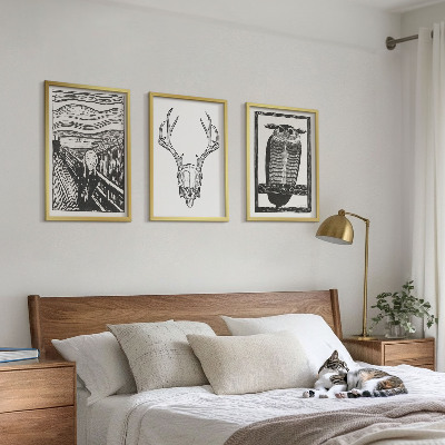 Set di quadri incorniciati Grafica con teschio urlante e gufo