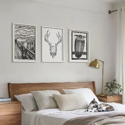 Set di quadri incorniciati con grafica raffigurante teschio urlante e gufo