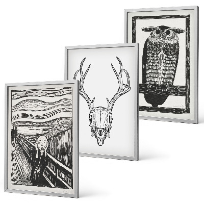 Set di quadri incorniciati Grafica con teschio urlante e gufo