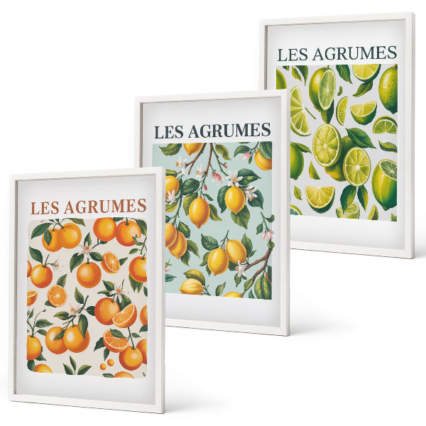Set di 3 quadri Motivi agrumati dai colori pastello