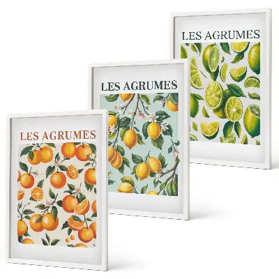 Set di 3 quadri con motivi agrumati dai colori pastello