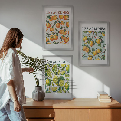 Set di 3 quadri Motivi agrumati dai colori pastello
