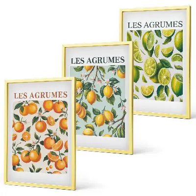 Set di 3 quadri con motivi agrumati dai colori pastello