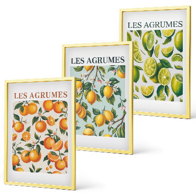Set di 3 quadri Motivi agrumati dai colori pastello