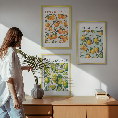 Set di 3 quadri Motivi agrumati dai colori pastello