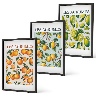 Set di 3 quadri Motivi agrumati dai colori pastello