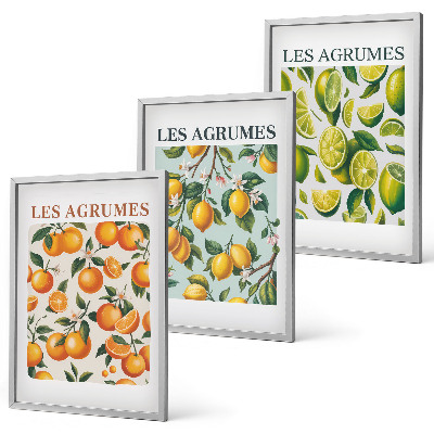 Set di 3 quadri Motivi agrumati dai colori pastello