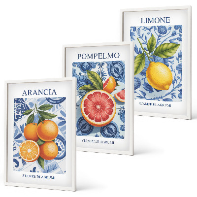 Set di quadri incorniciati Illustrazioni vintage di agrumi
