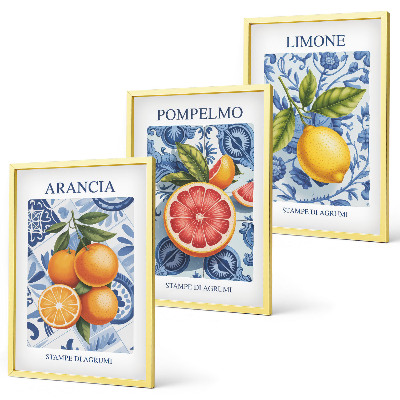 Set di quadri incorniciati Illustrazioni vintage di agrumi
