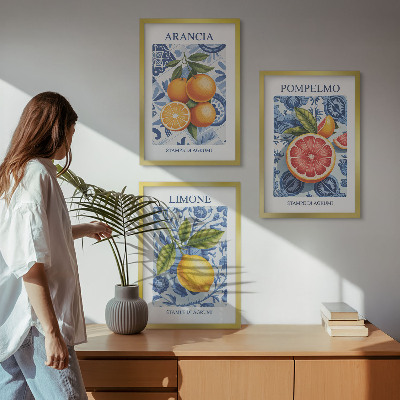 Set di quadri incorniciati Illustrazioni vintage di agrumi