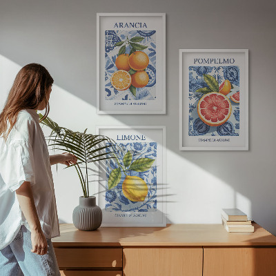 Set di quadri incorniciati Illustrazioni vintage di agrumi
