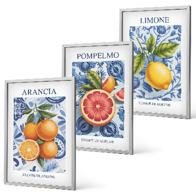Set di quadri incorniciati Illustrazioni vintage di agrumi