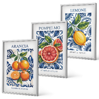 Set di 3 quadri Poster di moda sugli agrumi italiani