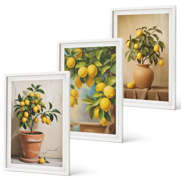 Composizione di quadri Alberi di limoni in vaso e in un vaso