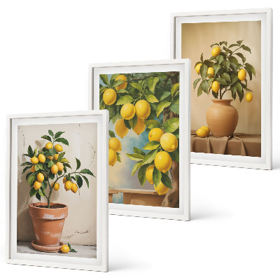 Composizione di quadri Alberi di limoni in vaso e in un vaso