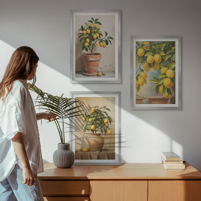 Composizione di quadri Alberi di limoni in vaso e in un vaso
