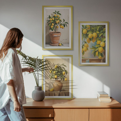 Composizione di quadri Alberi di limoni in vaso e in un vaso
