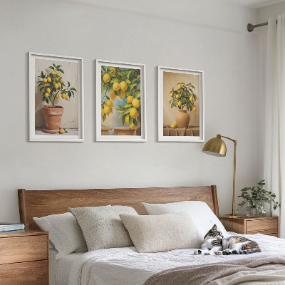 Composizione di quadri Alberi di limoni in vaso e in un vaso