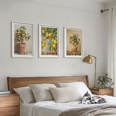 Composizione di quadri alberi di limoni in vaso