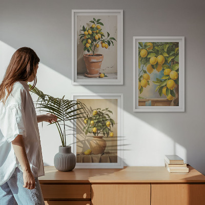 Composizione di quadri Alberi di limoni in vaso e in un vaso