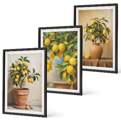 Composizione di quadri Alberi di limoni in vaso e in un vaso