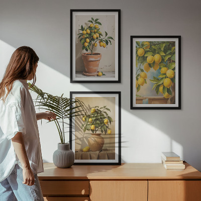 Composizione di quadri Alberi di limoni in vaso e in un vaso