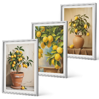 Composizione di quadri Alberi di limoni in vaso e in un vaso