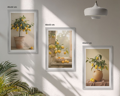 Set di 3 quadri Alberi di limoni in vaso