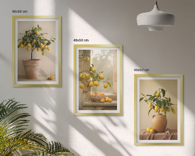Set di 3 quadri Alberi di limoni in vaso