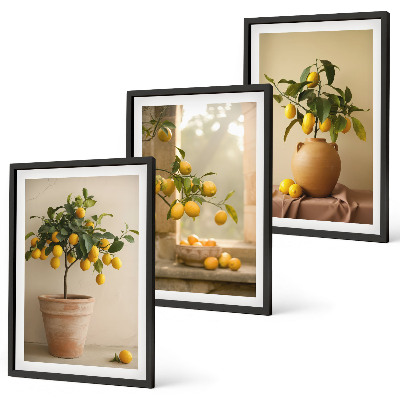 Set di 3 quadri Alberi di limoni in vaso