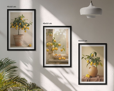 Set di 3 quadri Alberi di limoni in vaso
