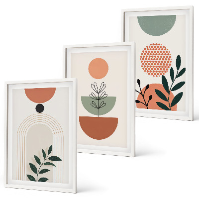 Set di 3 quadri Motivi vegetali moderni