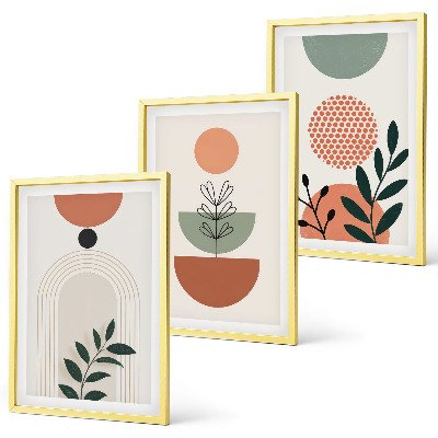 Set di 3 quadri Motivi vegetali moderni