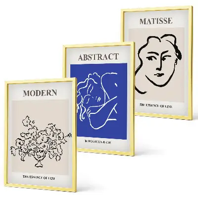 Set di 3 quadri con i manifesti moderni di Matisse