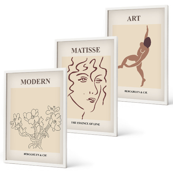Set di 3 quadri Grafica elegante di personaggi floreali