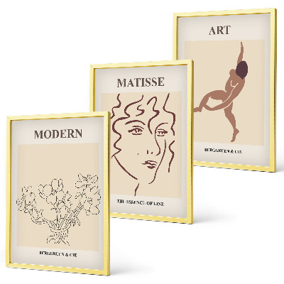 Set di 3 quadri Grafica elegante di personaggi floreali