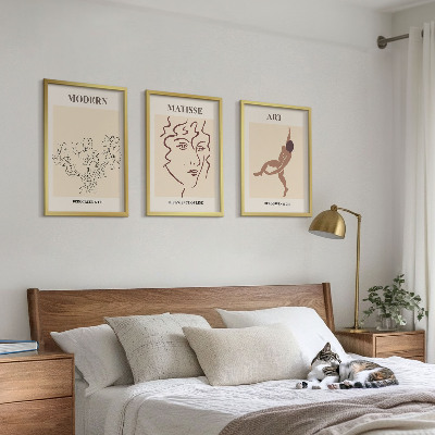 Set di 3 quadri Grafica elegante di personaggi floreali