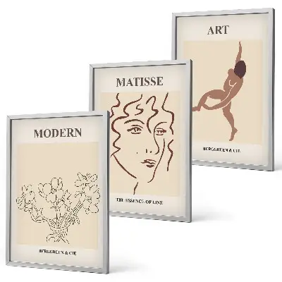 Set di 3 quadri con grafica elegante di personaggi floreali