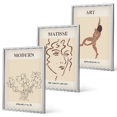 Set di 3 quadri Grafica elegante di personaggi floreali