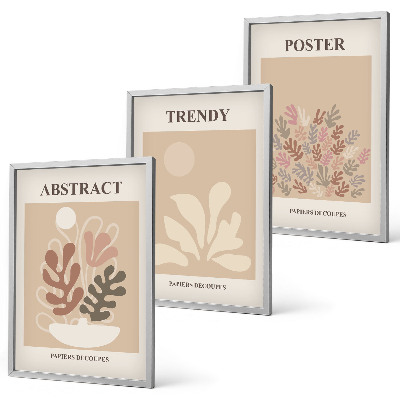 Composizione di quadri Motivi vegetali beige marrone