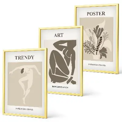 Set di 3 quadri con le figure vegetali di Matisse