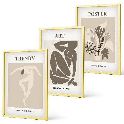 Set di 3 quadri Le figure vegetali di Matisse
