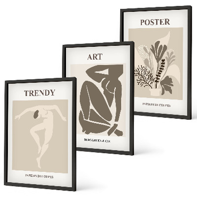 Set di 3 quadri Le figure vegetali di Matisse