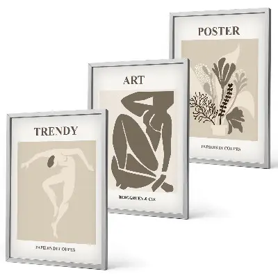 Set di 3 quadri con le figure vegetali di Matisse