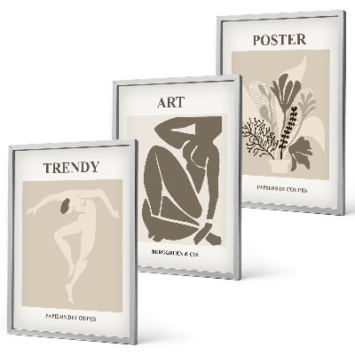 Set di 3 quadri Le figure vegetali di Matisse
