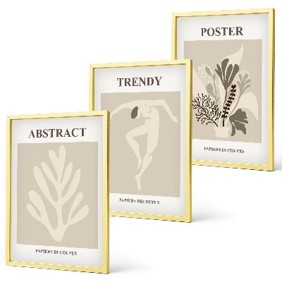 Composizione di quadri Motivi floreali beige marrone
