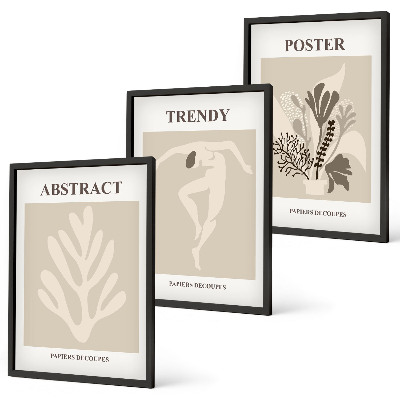 Composizione di quadri Motivi floreali beige marrone